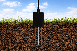 Soil Temperature